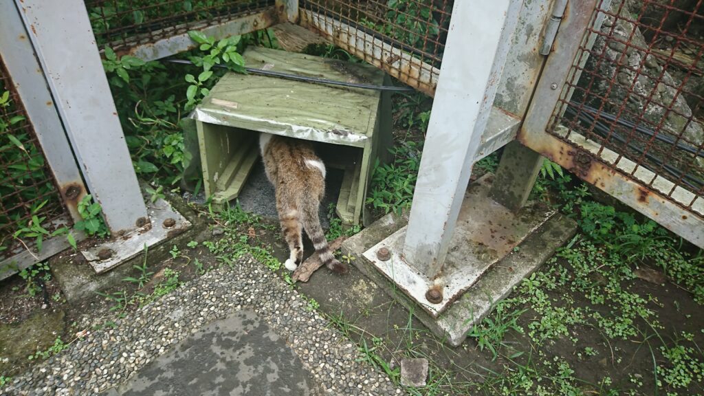 ねこ小屋も完備